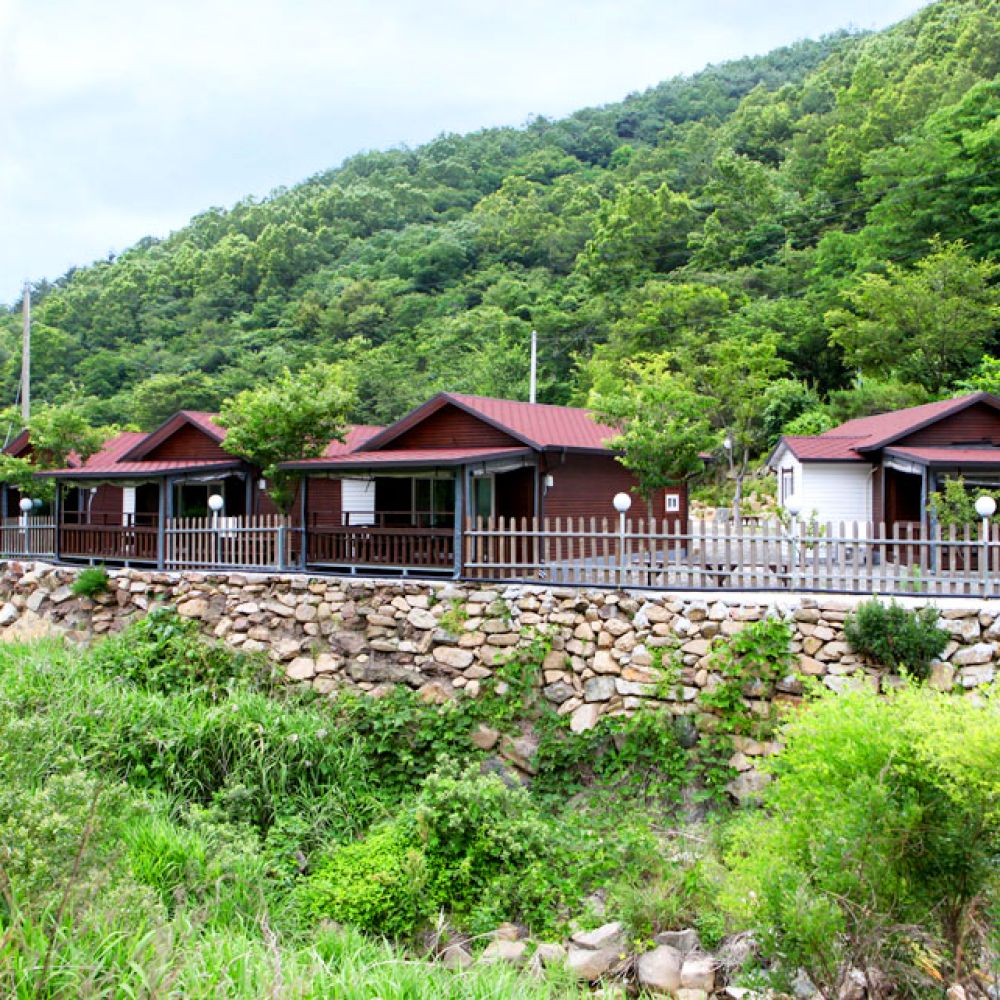 주간전경