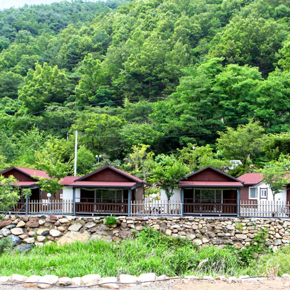 주간전경