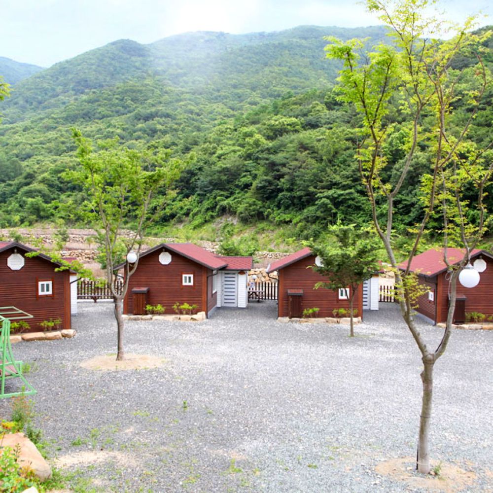 주간전경